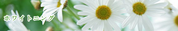 a̎R@@zCgjO@VszCgjO@cӎszCgjO
