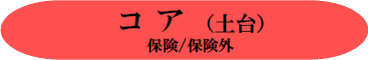和歌山 日高町 審美歯科 御坊市審美歯科 田辺市審美歯科 コア(土台)