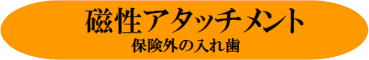 和歌山 日高町 審美歯科 御坊市審美歯科 田辺市審美歯科 磁性アタッチメント 保険外の入れ歯